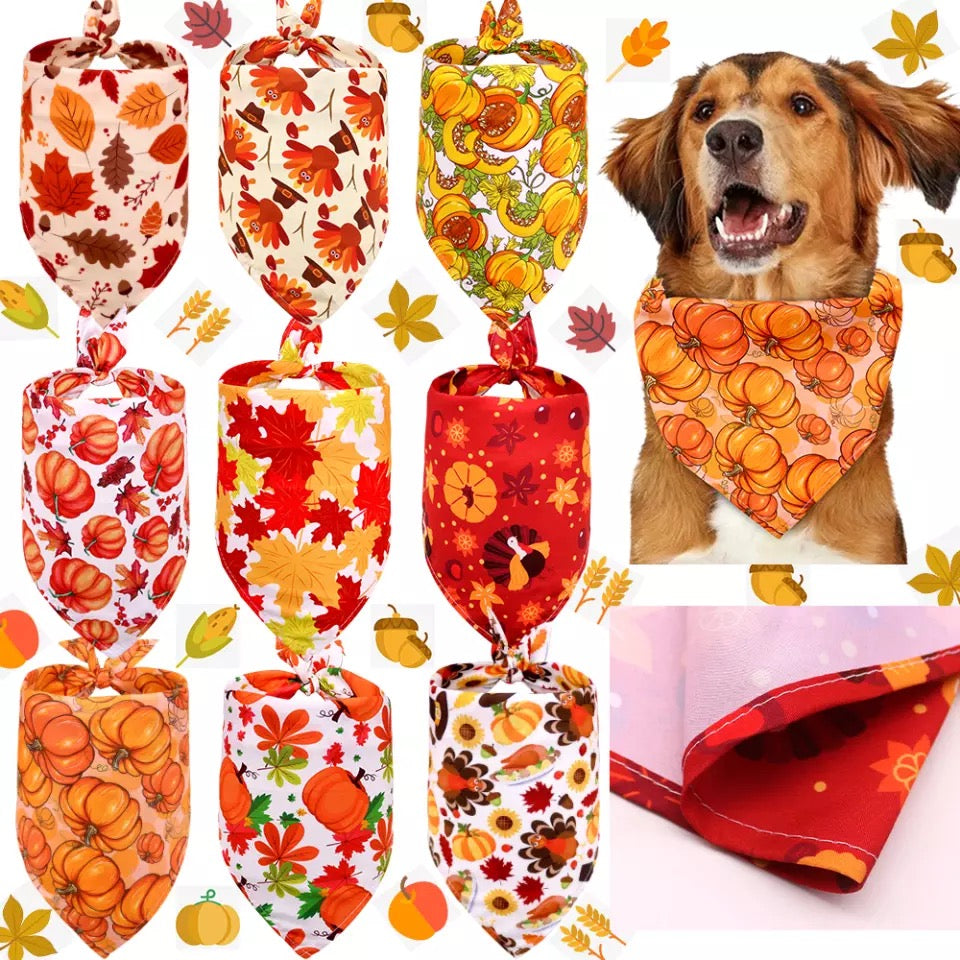 Halloween style bibs for pets