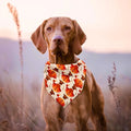 Halloween style bibs for pets