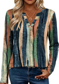Zeagoo Womens Tops Long Sleeve V Neck Tee Shirts Cute Dressy Casual