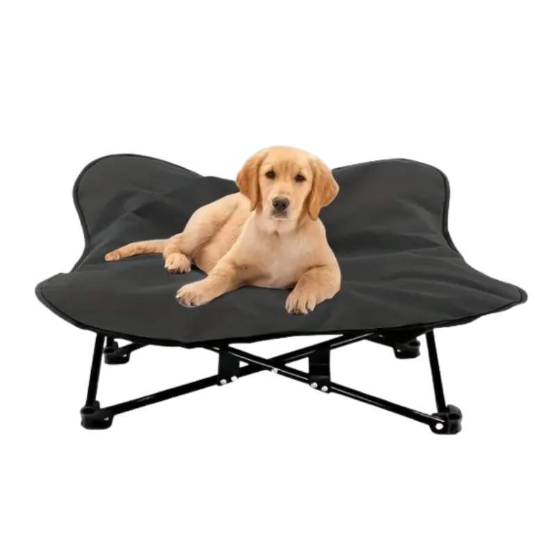 Portable Elevated Dog Bed for All Dog